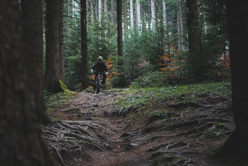 Secret Trails